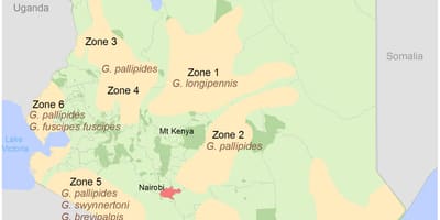 Kenia instytut geodezji i kartografii 2016 kolektor